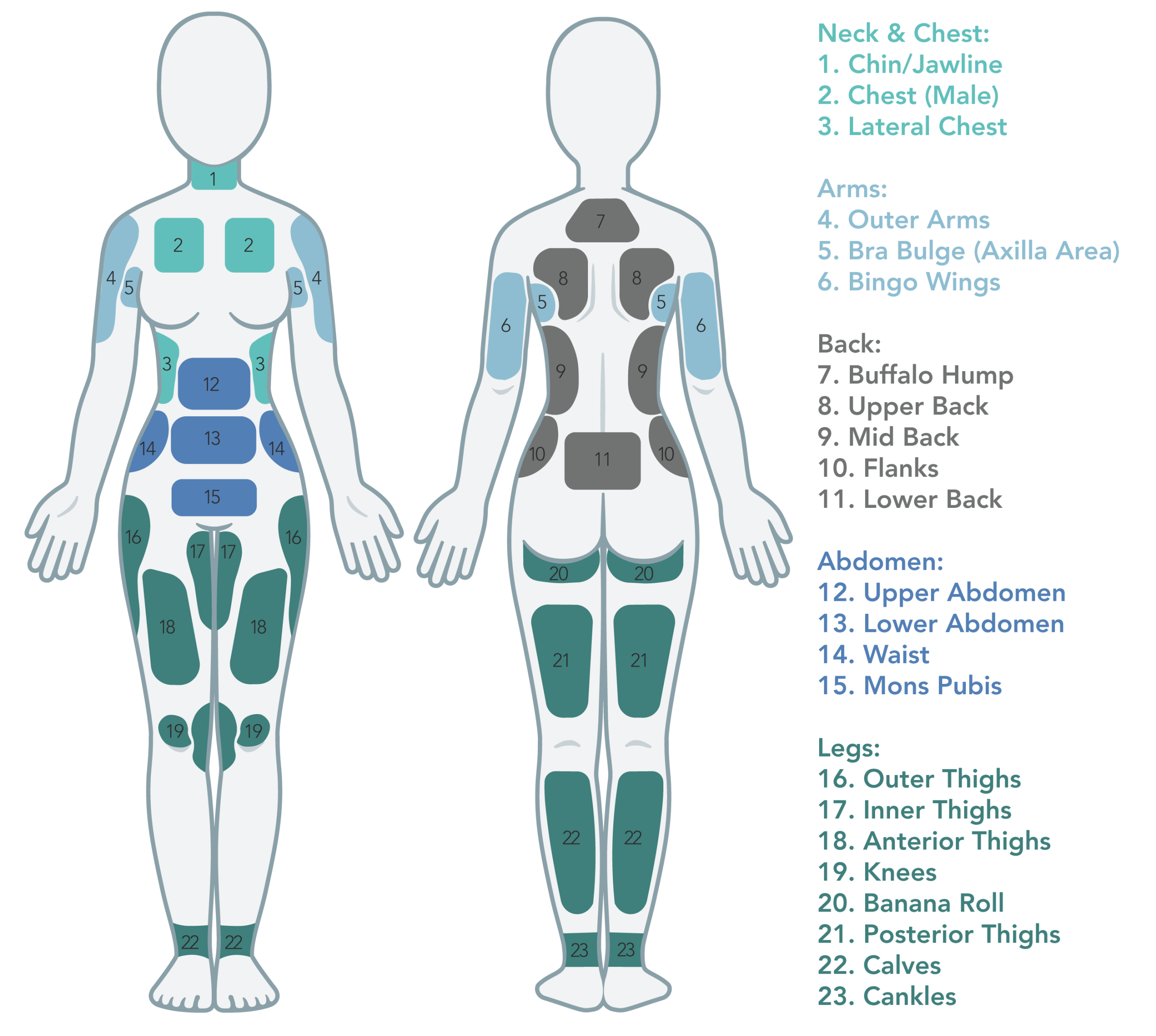 Liposhape Areas Updated new 1703